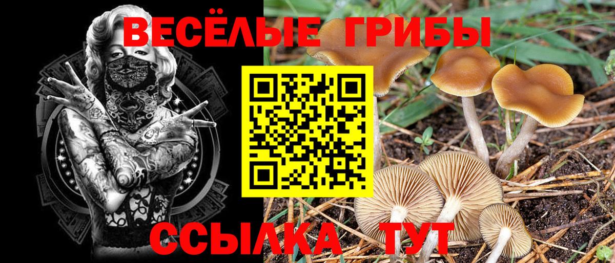 Галлюциногенные грибы Magic Shrooms  Вход с VPN  дарнет шоп  Улан-Удэ  Галлюциногенные грибы Cubensis 